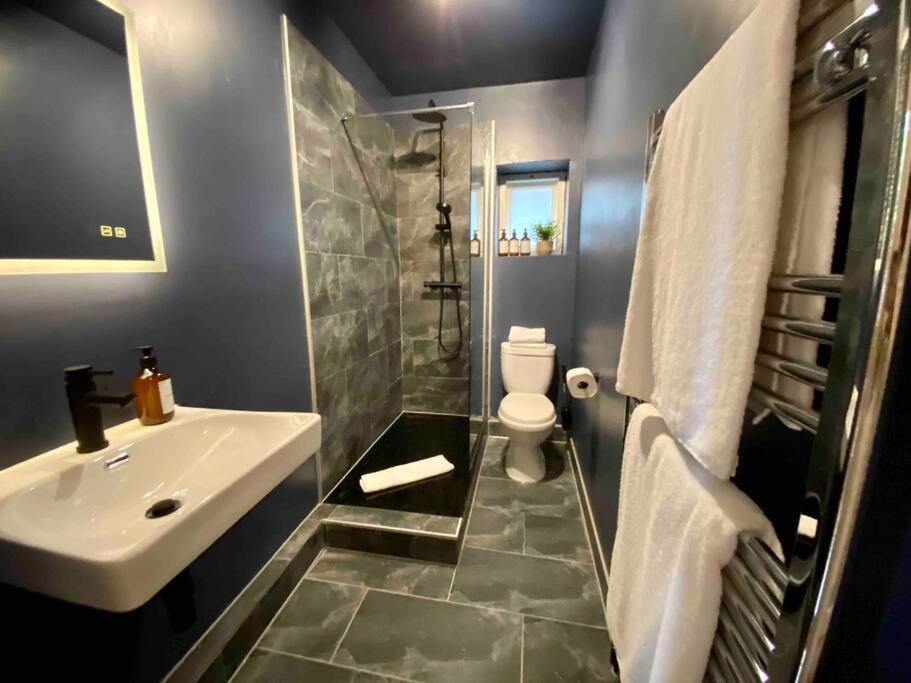 Stylish For 3 Near Regents Park N4 Londra